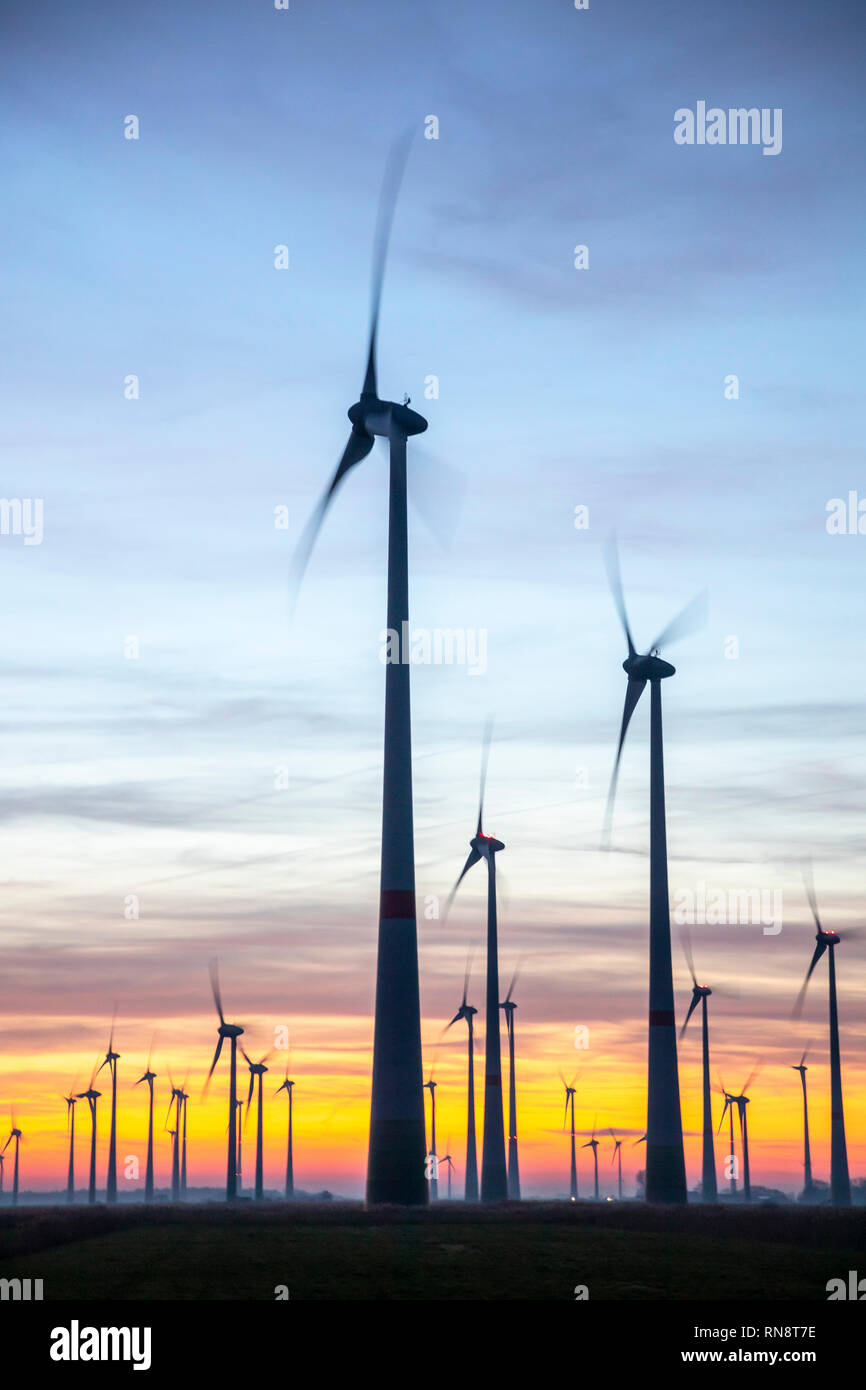 Utgast wind farm, wind park, in the district of Wittmund, East Frida, Lower Saxony, Germany, sunset, Stock Photo