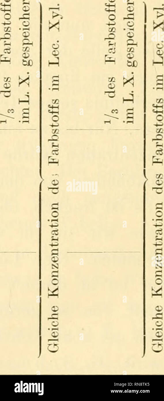 Anatomische Hefte 508 E Herzfeld Lo O Sc O C O O O Quot Lo R 2 S Quot I G