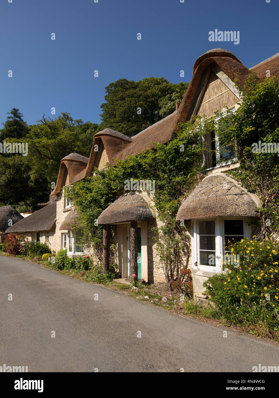 Ferry cottage devon hires stock photography and images Alamy