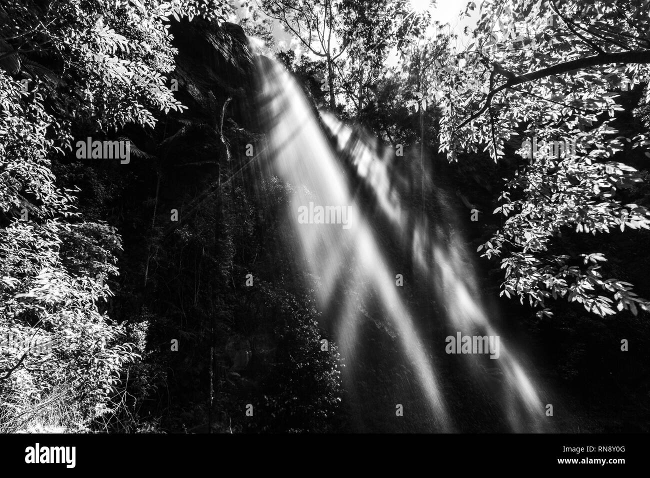 Amazing forest waterfall bathing in sunlight - black and white image Stock Photo