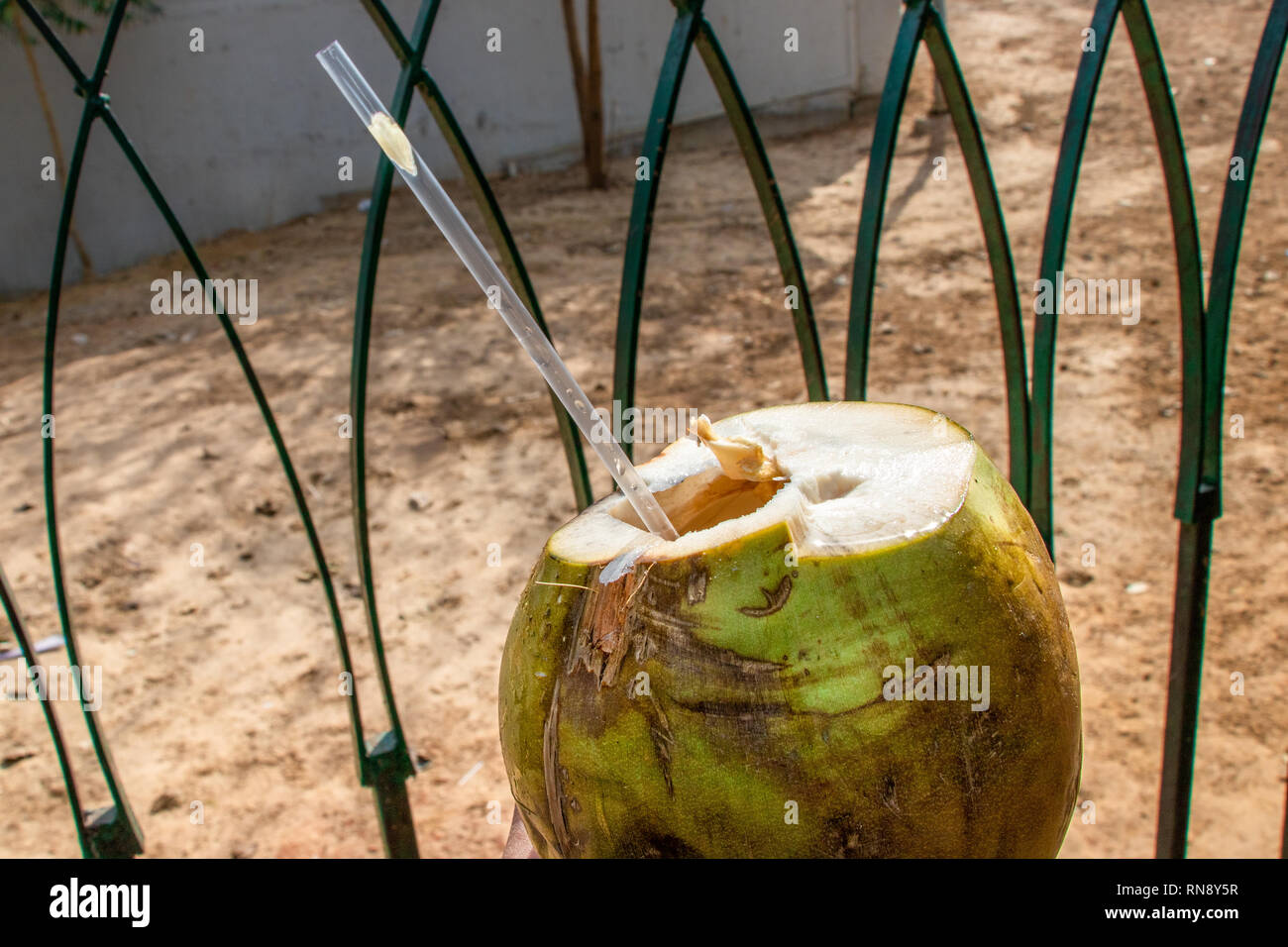 Green coconuts water with drinking straw close up view Stock Photo Alamy