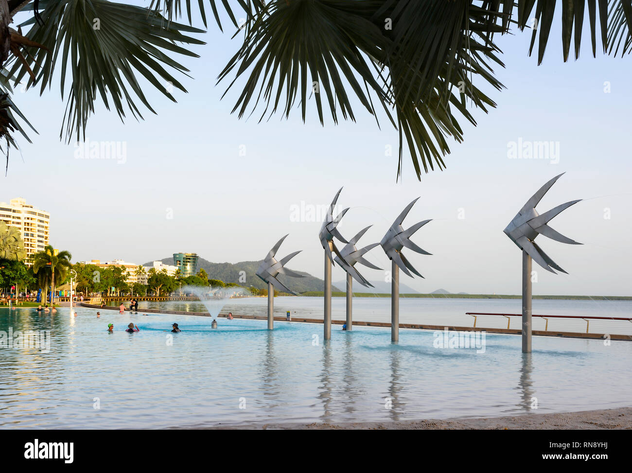 Cairns Lagoon and its iconic fish sculptures on the Esplanade, Far