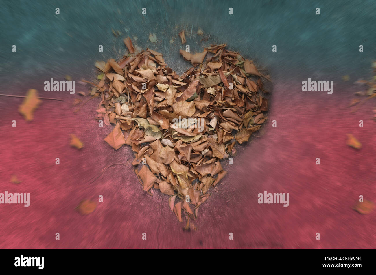 Leaf Heart shape isolated Love Valentine background Stock Photo - Alamy