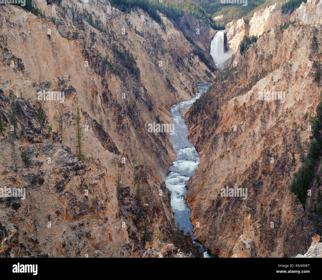 USA, Wyoming, Yellowstone National Park, Lower Falls and Grand Canyon of the Yellowstone with colorful rhyolite walls; from Artist Point. Stock Photo