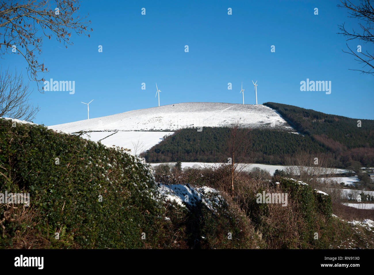 Snow fall, Bunclody, Wexford, Ireland, Eire, Europe Stock Photo Alamy