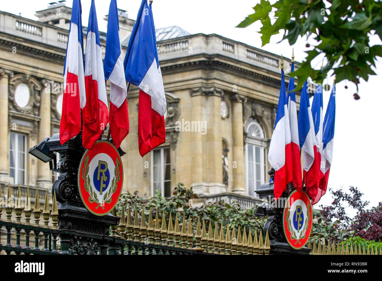 Tricolor cockade, Paris, France Stock Photo - Alamy