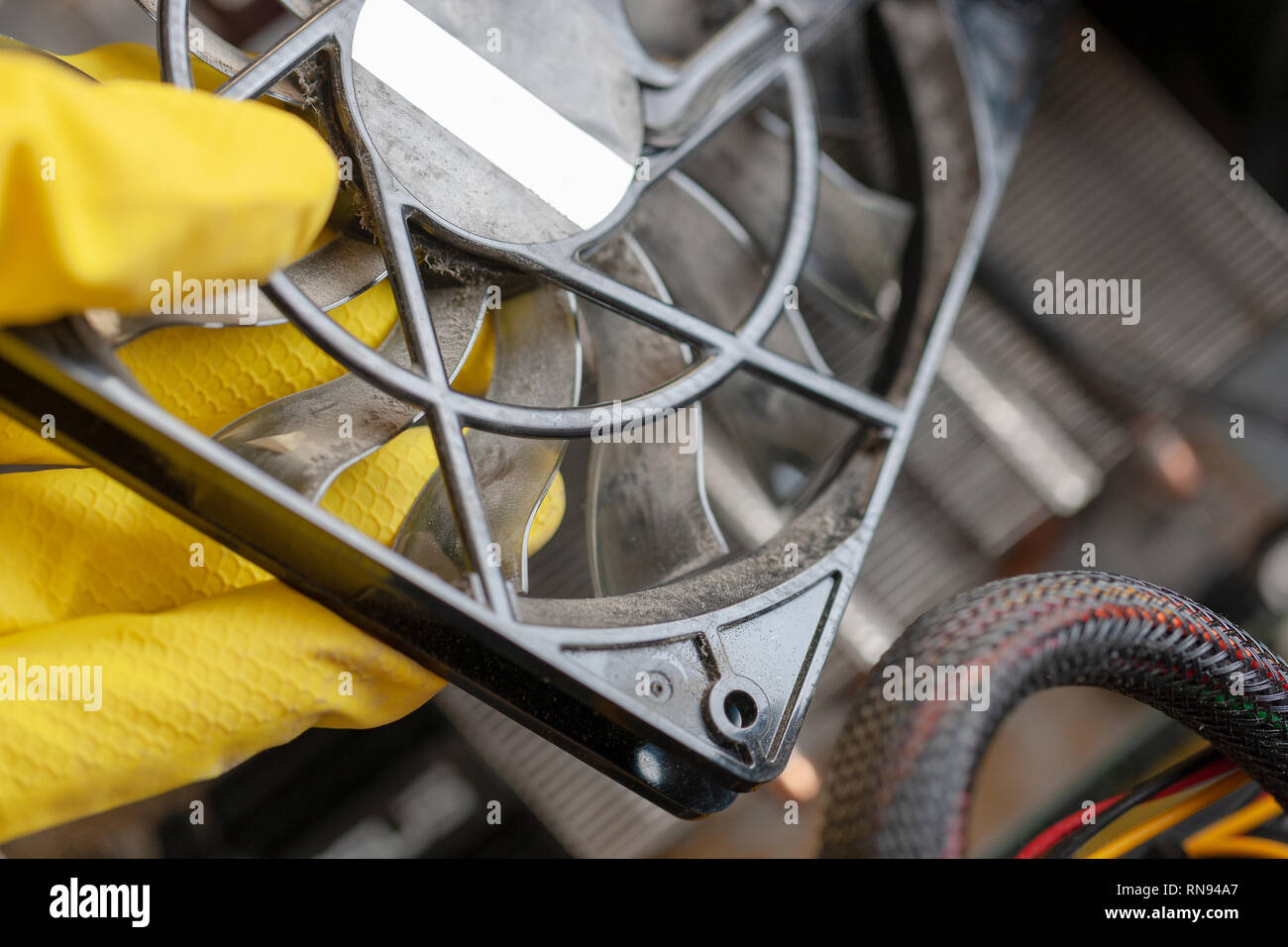desktop computer dust cleaning. cpu cooller system with dust and web in