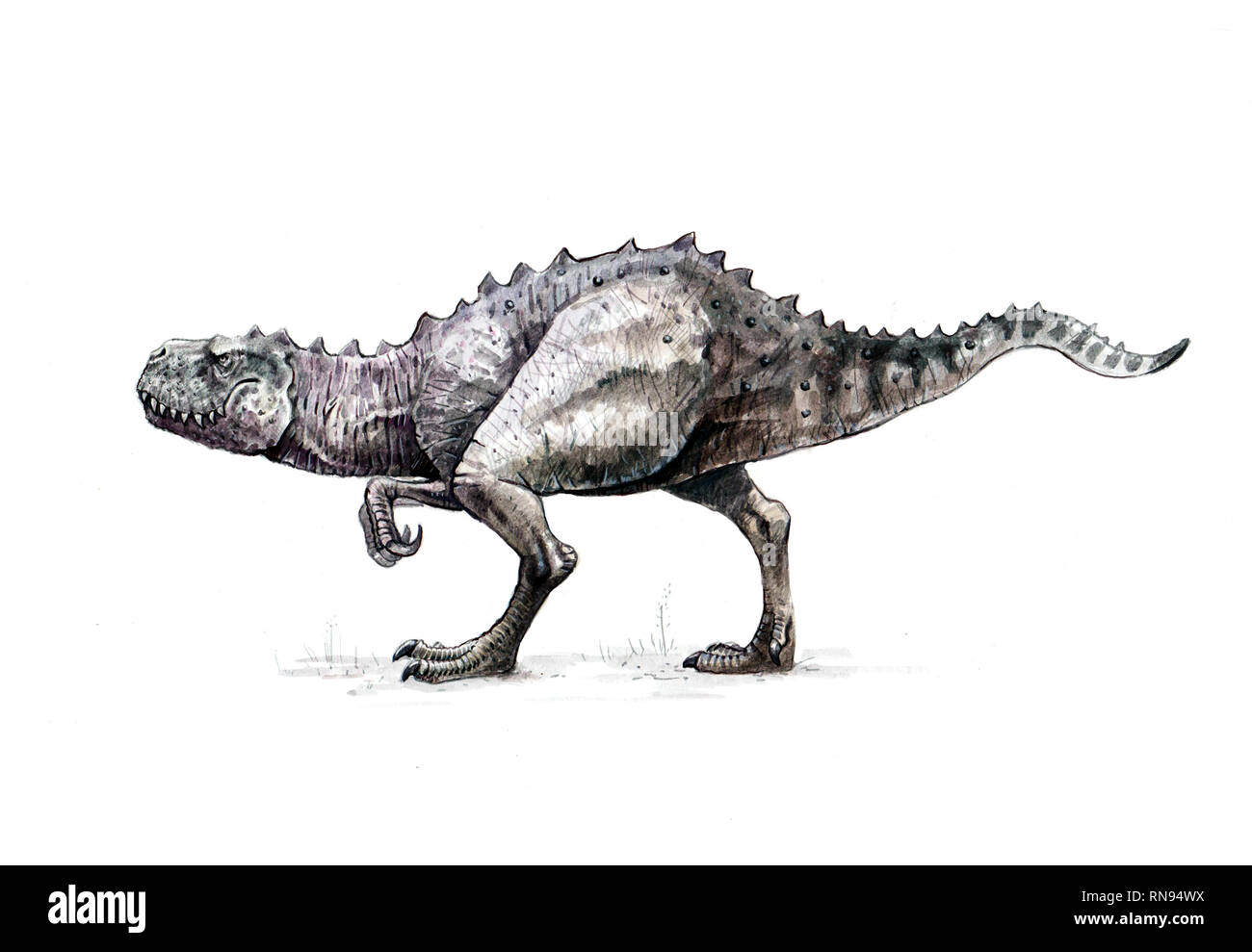 Tyrannosaurus rex drawing. Dinosaur hand made illustration. Stock Photo