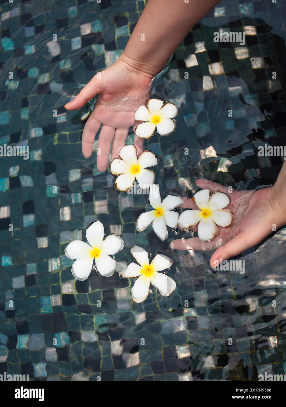 Thai woman swimming pool hi-res stock photography and images - Alamy