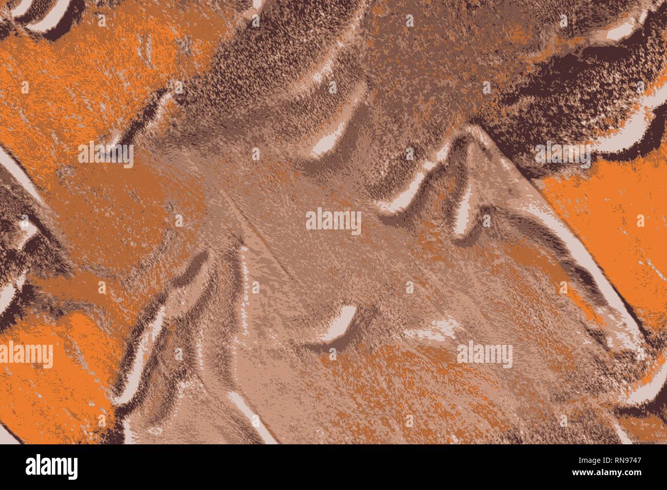 Butterfly wings patterns, moth camouflage texture and colors Stock