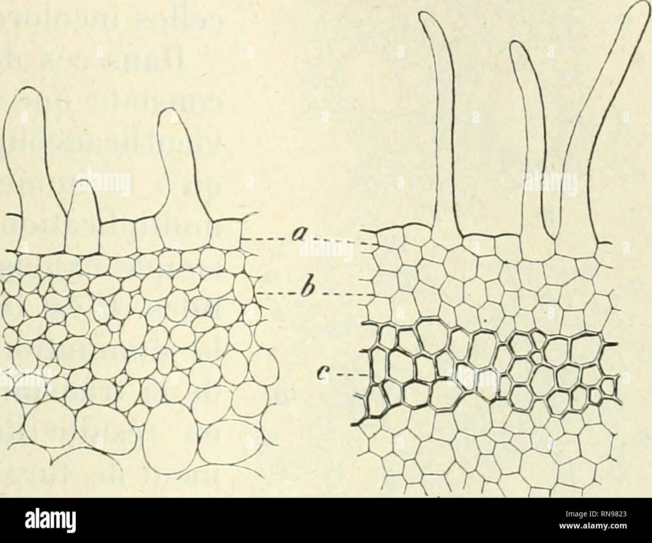 Terre Humide High Resolution Stock Photography And Images Alamy