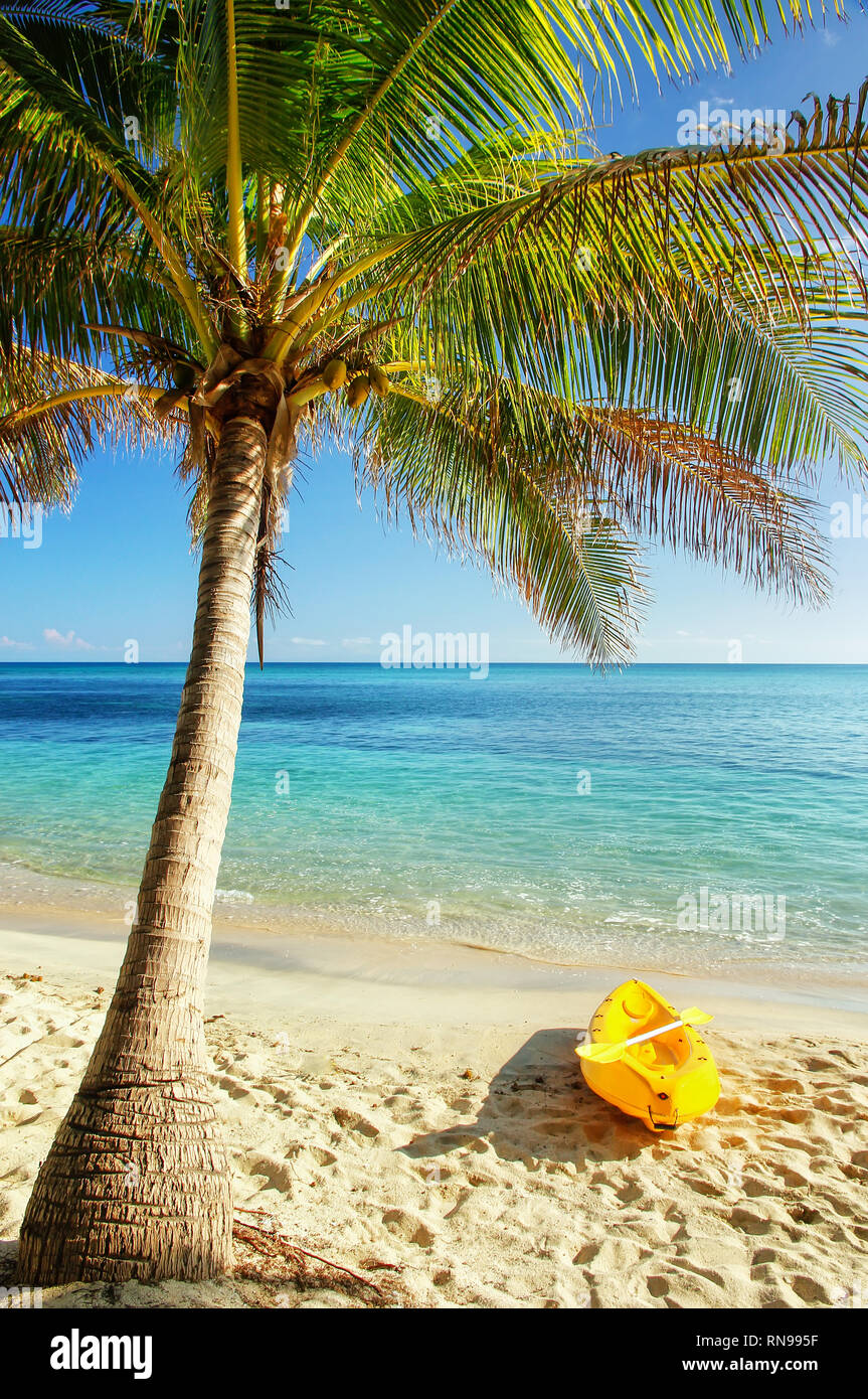 Sea kayak on the beach near palm tree, Nacula Island, Yasawas, Fiji Stock Photo