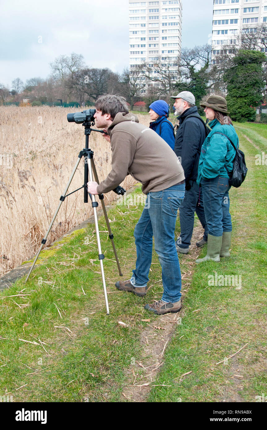 Birdwatchers with telescope, Stoke Newington East Reserviors, now Woodberry Wetlands, London Borough of Hackney England Britain UK Stock Photo