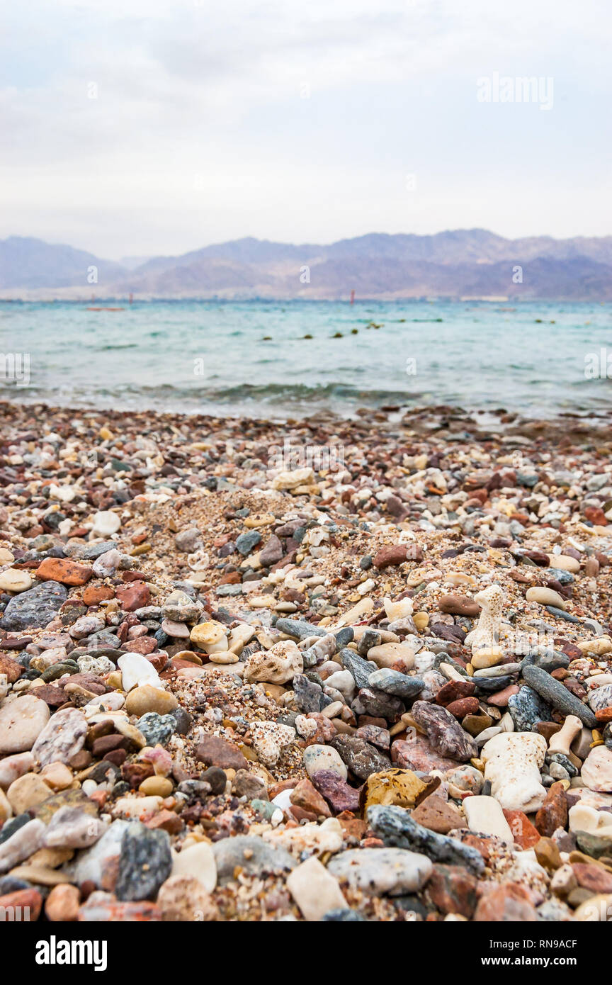 Many small pebbles stones and corals on the Red Sea beach in Eilat ...