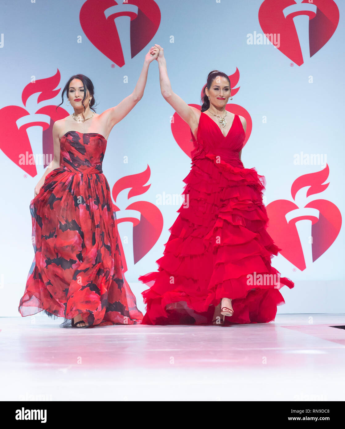 nikki bella red dress Nikki bella red attire