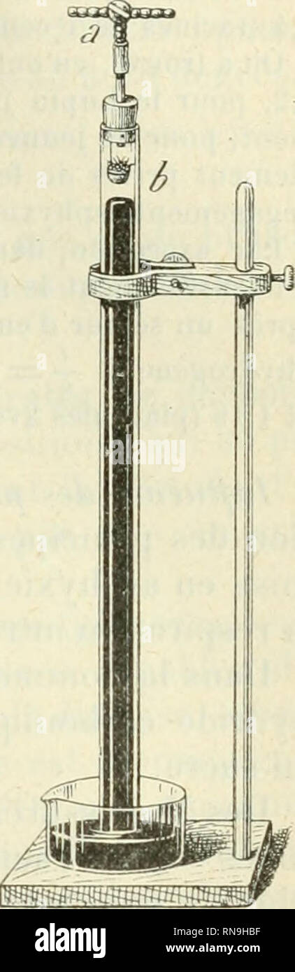 . Anatomie et physiologie végétales à l'usage des étudiants en sciences naturelles des universités, des élèves à l'Institut agronomique, des écoles d'agriculture, etc. Plant anatomy; Plant physiology. INTENSITK DE LA UESPIHATION LNTRAJIOLKCLLAIIU: 03;} (Jri(l(^ carbonique en rabsoncc d'oxygène libre, on peul uti- liser Vapparcil à rcnourt'Utnucnt gazeux conùnu (lig-. 732), en Taisant passer lentement sui- les plantes soumises à l'expé- rience, prace à un aspirateur, non de l'air, mais de lliydrogène sli-!clenient pui'. On voit alors les tubes à eau de baryte (c, d) se troubler, comme au cours  Stock Photo