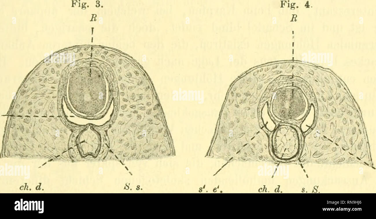 Page 419 3 Die High Resolution Stock Photography And Images Alamy
