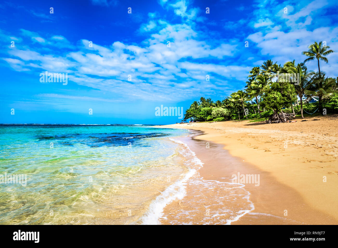 Tropical paradise photography hi-res stock photography and images - Alamy