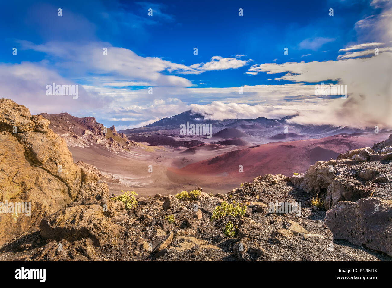 Anahola hires stock photography and images Alamy