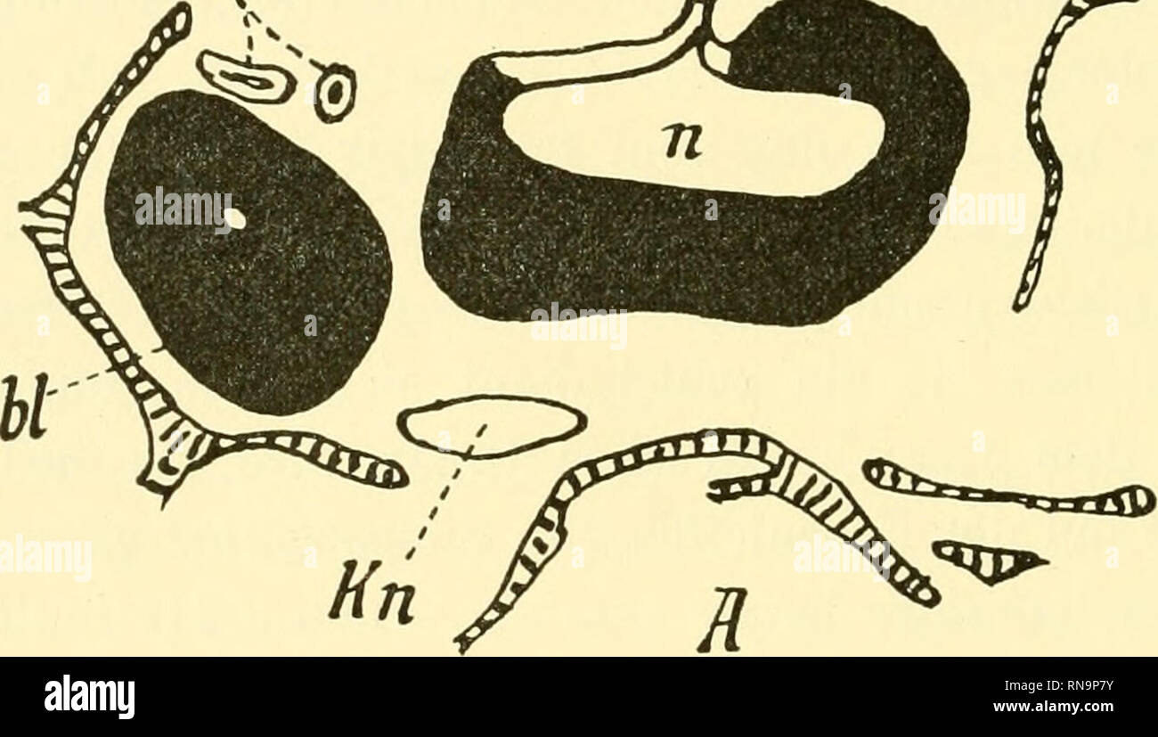 B B C Television Stock Photos B B C Television Stock