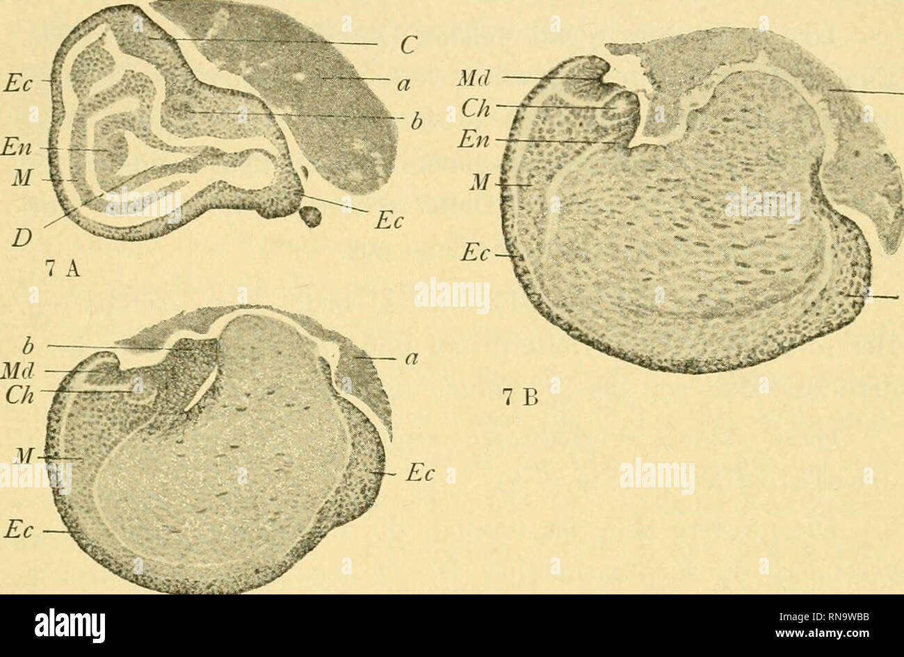 Trennung 7 High Resolution Stock Photography And Images Alamy