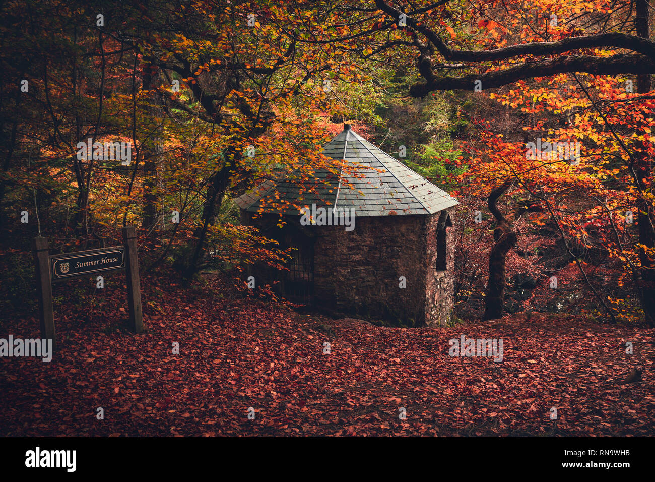 Hidden Cottage in Magical Scottish Forest Stock Photo