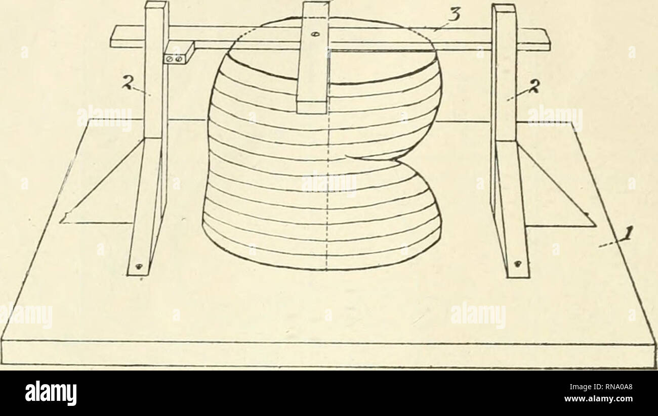 The Anatomical Record Anatomy Anatomy 726 Warren H Lewis 3 Fig 4 Method Of Making Guide Lines 1 Baseboard 2 Perpendicular Posts 3 Straight Edge 4 Piece At Right Angles To