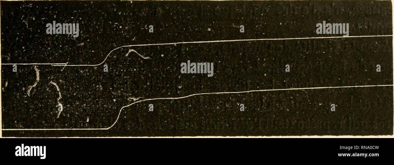 La Courbe Hi Res Stock Photography And Images Page 14 Alamy La Courbe Hi Res Stock Photography And Images Page 14 Alamy