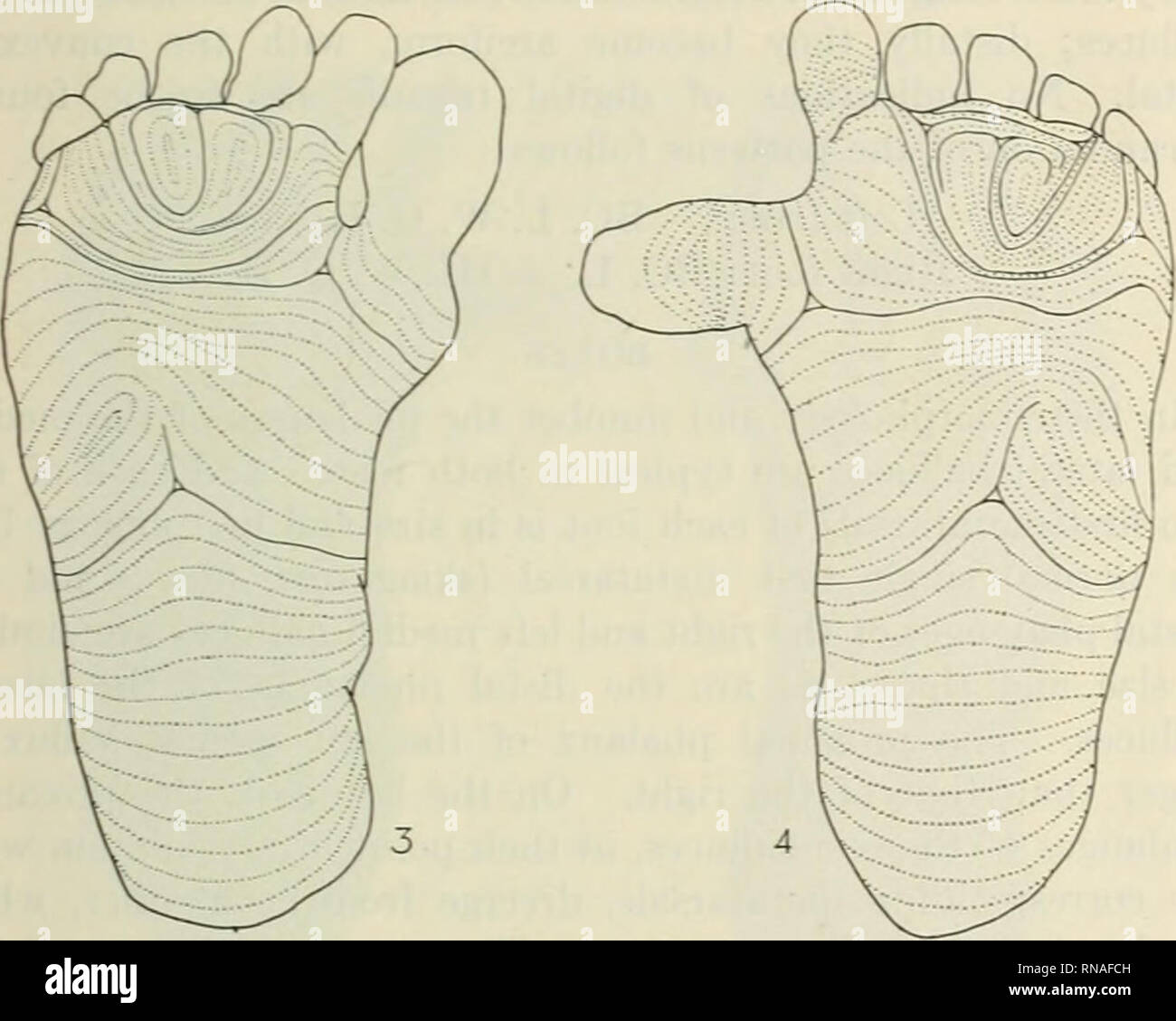 Ridges shown hires stock photography and images Alamy