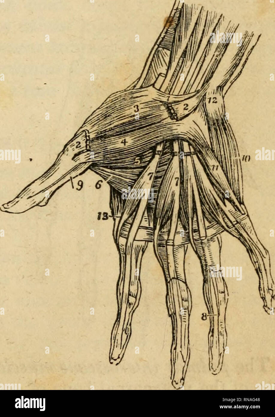 . An analytical compendium of the various branches of medical science ...