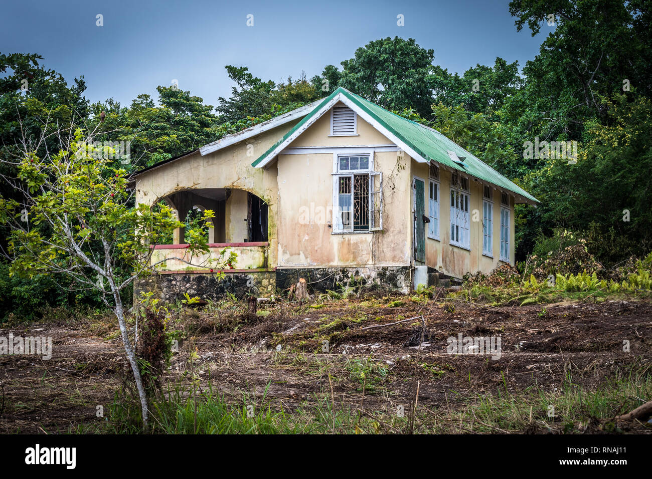 Abandoned old house with an ackee fruit tree in front, in Caribbean countryside Stock Photo