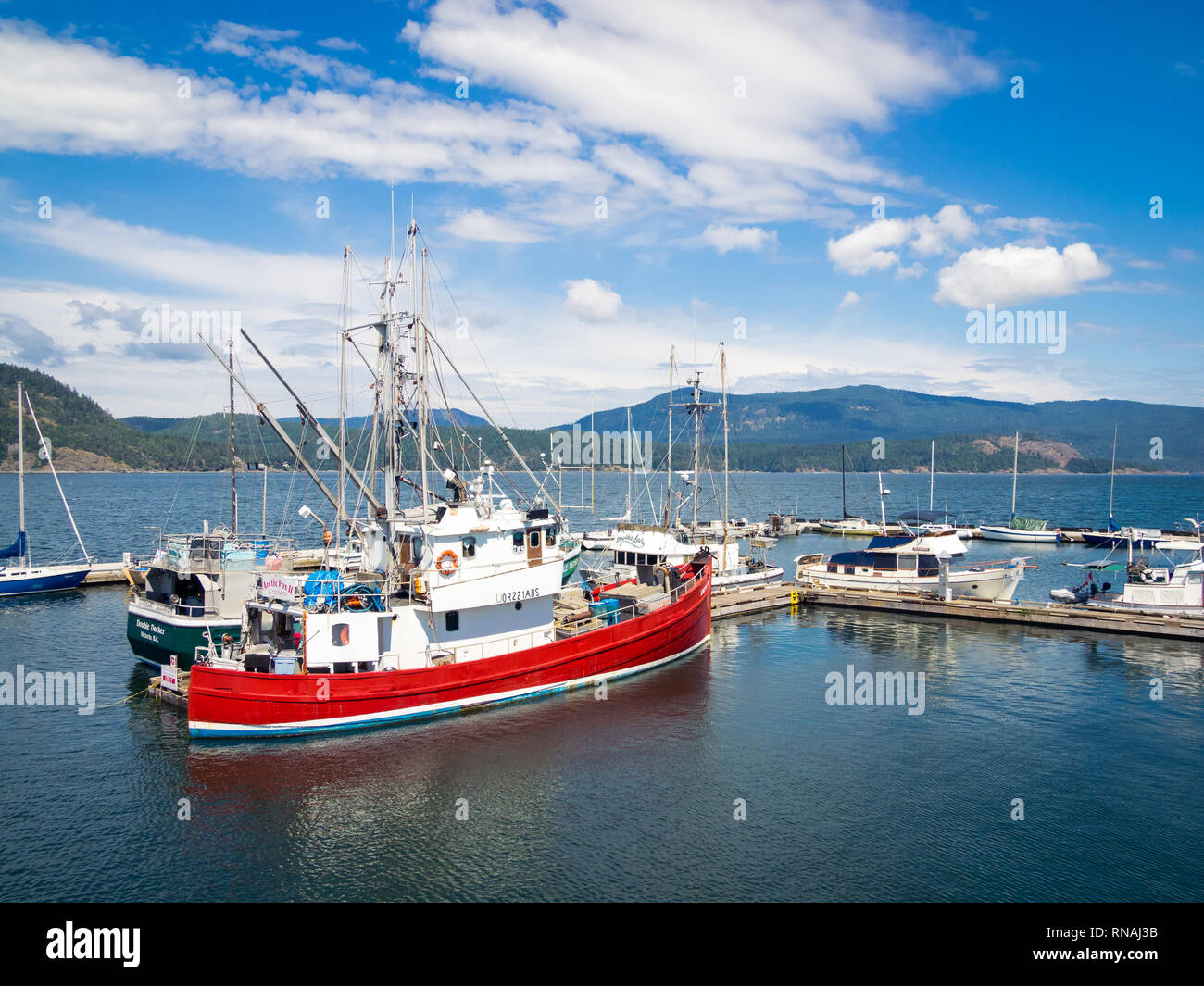 Tuna fishing boats, salmon fishing boats, and other vessels moored at Fishermen's Wharf in Cowichan Bay (Cow Bay), British Columbia, Canada Stock Photo