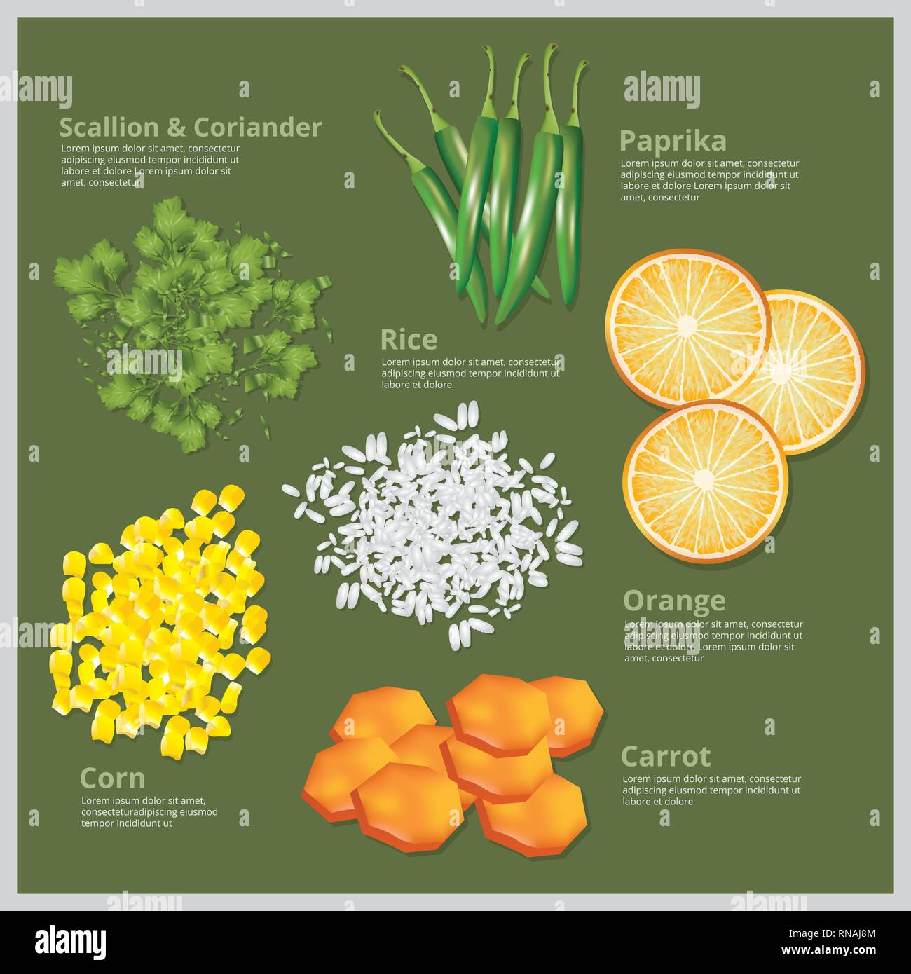 Vector Illustration Ingredient Food Stock Vector