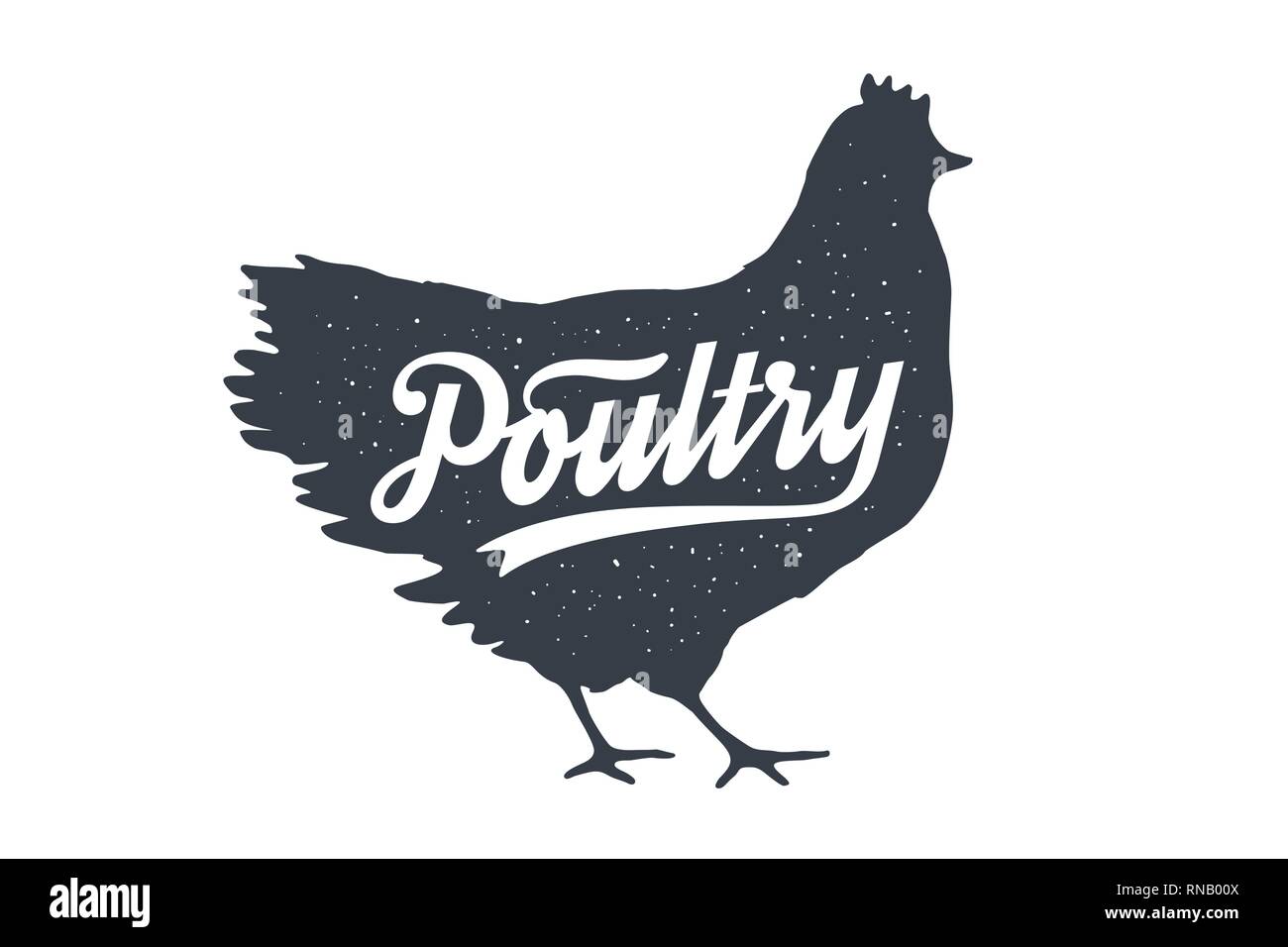 Chicken, hen, poultry. Lettering. Vintage lettering, retro print Stock ...