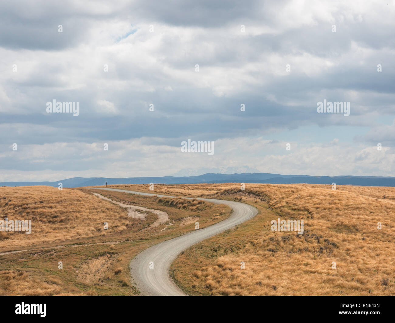 Curving road through tussock country on Ngamatea Station, Inland Mokai Patea, Central North Island, New Zealand Stock Photo