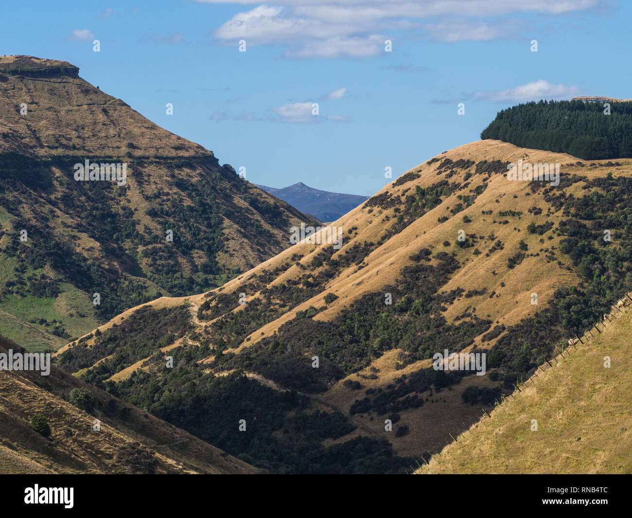 Steep hills, brown grass on a summer day, Moawhango Valley, Inland Mokai Patea, Central North Island, New Zealand Stock Photo