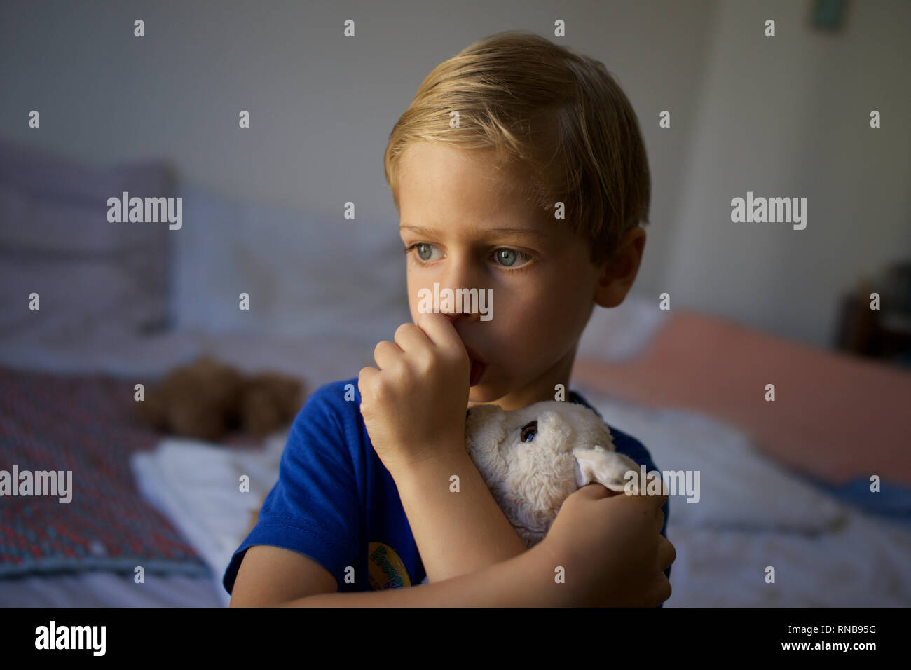 Child, young boy sucking thumb holding soft toy dog, tired, insecure - domestic setting Stock Photo