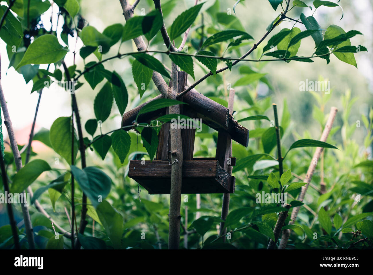 Bird house on a tree among the green leaves in springtime. Shelter and feeder for birds. Wildlife close to human. Copy space room for text Stock Photo