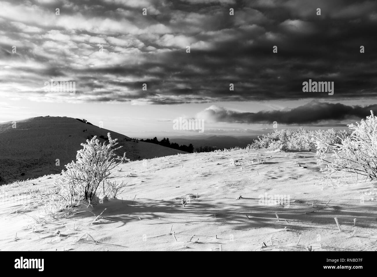 Subasio mountain (Umbria, Italy) in winter, covered by snow, with plants and sun Stock Photo