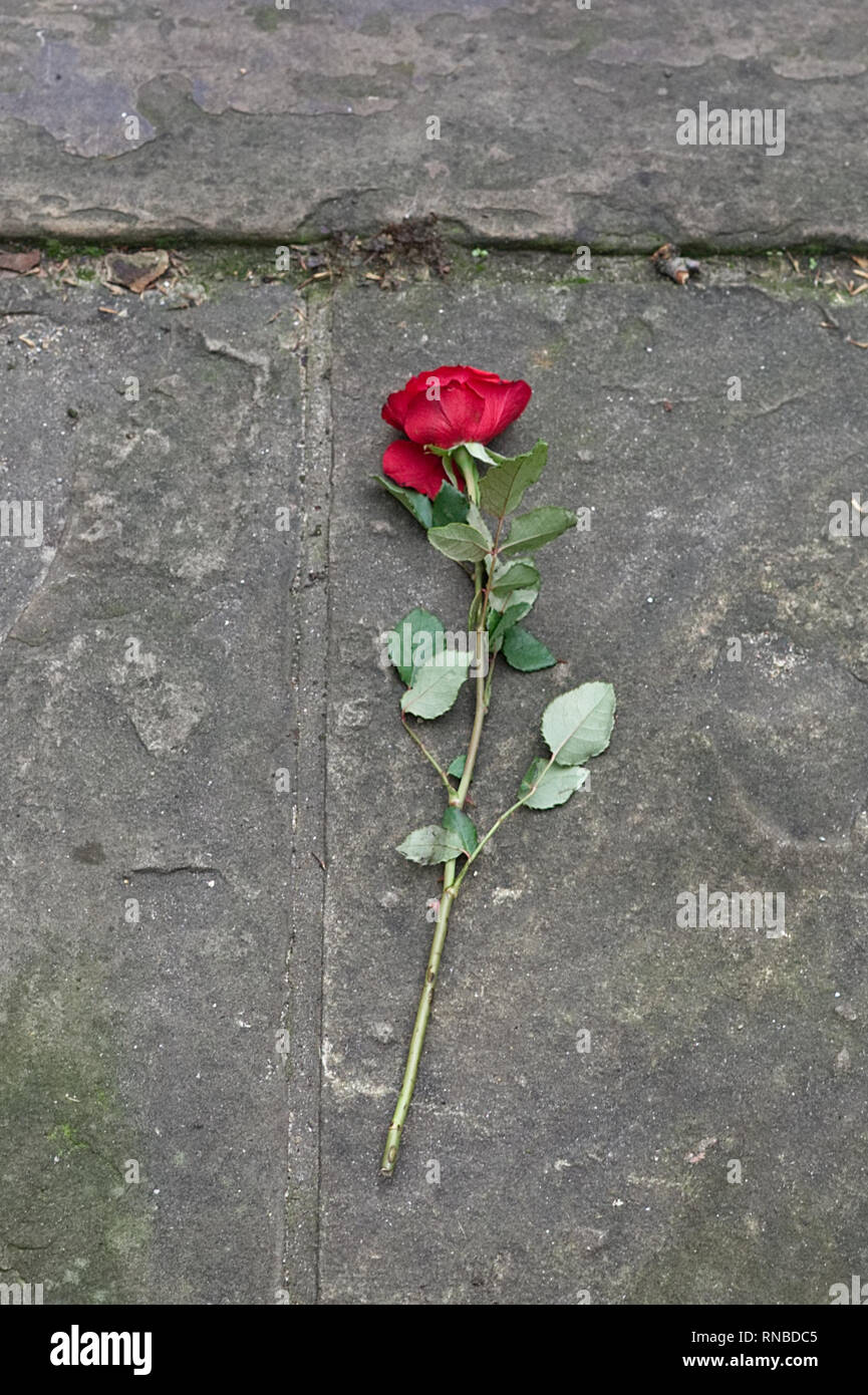 Red flowers on grave hires stock photography and images Alamy