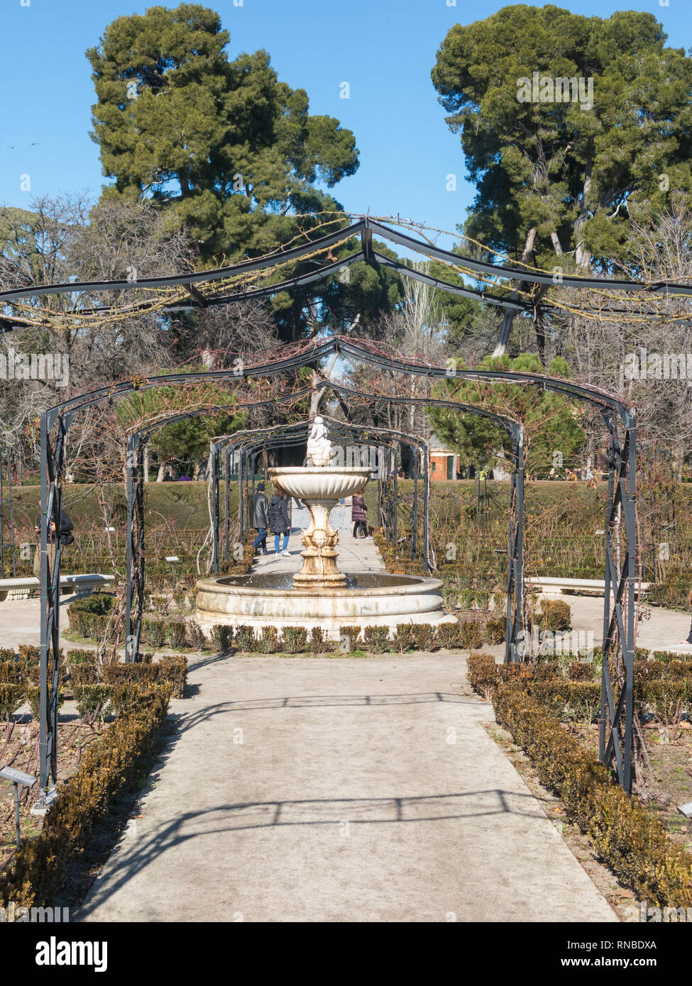 Madrid, Spain - January 27, 2018: Path in Garden of Roses in Buen Retiro Park. Parque De Las Rosas in Spanish) in Botanical Garden in Park of Retiro.  Stock Photo