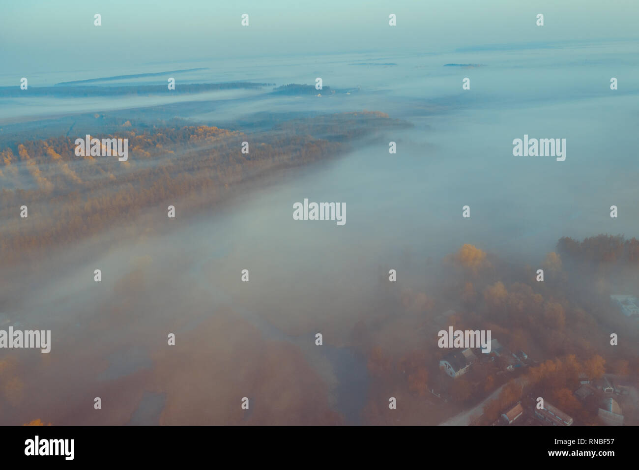 Mystic foggy forest road hi-res stock photography and images - Alamy
