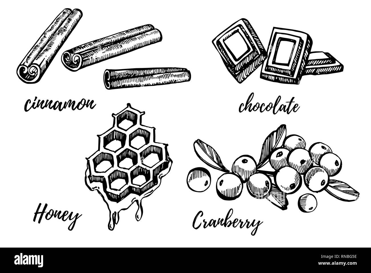 Honey Cranberry Chocolate And Cinnamon Sketch Illustrations Hand honey-cranberry-chocolate-and-cinnamon-sketch-illustrations-hand