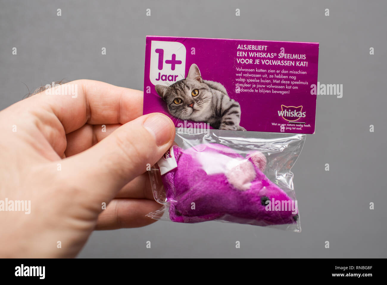 Paris, France - Jan 23, 2019: Man holding POV Whiskas gift for a cat - a  pink violet mouse scented with cat grass Stock Photo - Alamy