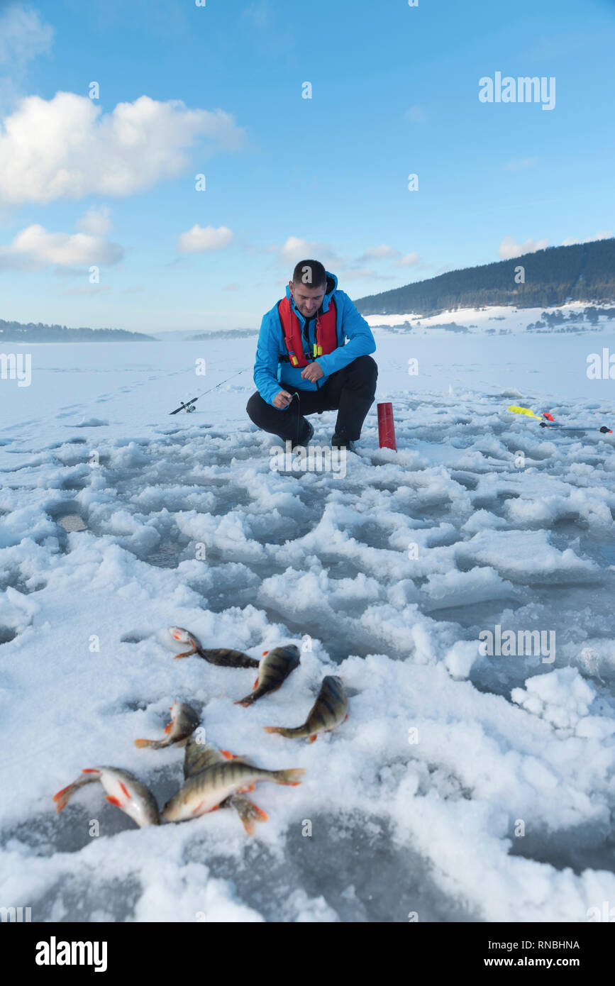 Fish on snow hi-res stock photography and images - Page 5 - Alamy