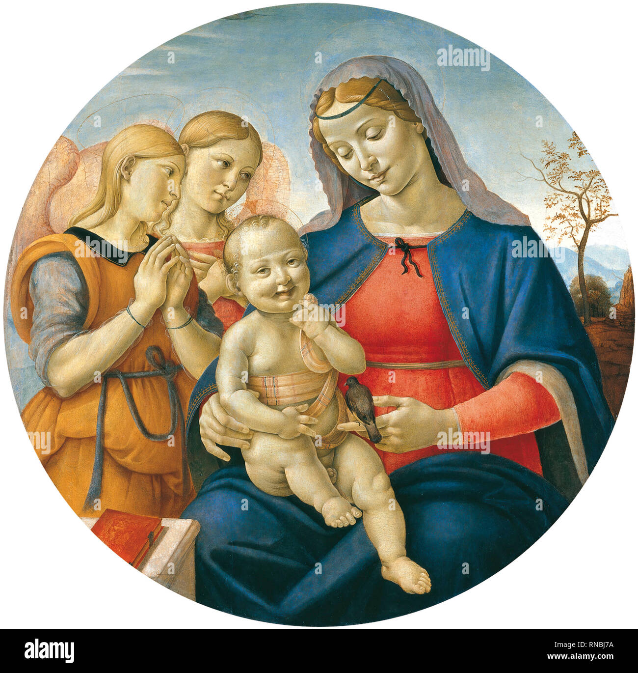 Piero di (attributed to) Cosimo (Florence (?), 1461/62-1521). The Virgin and Child with Angels (ca. 1500 - 1510). Oil and tempera on panel. 78 cm. Museum: Museo Nacional Thyssen-Bornemisza, Madrid. Stock Photo