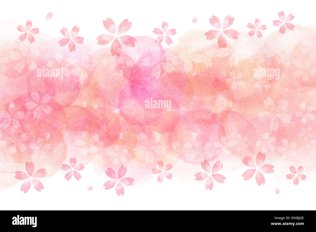 Japanese Pink Cherry Blossom Watercolor Abstract Or Vintage Paint