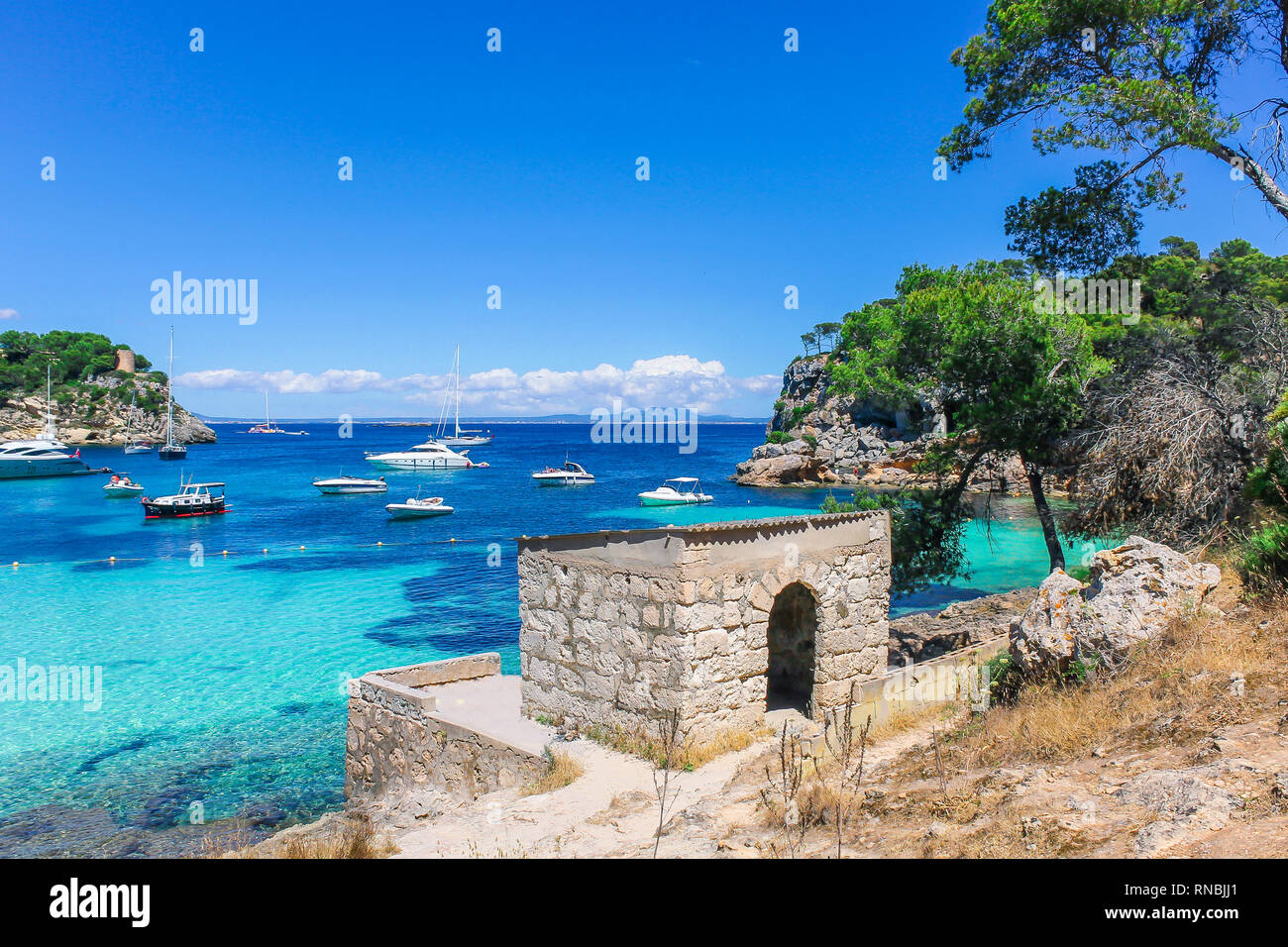 Paradise beach of Mallorca Stock Photo - Alamy