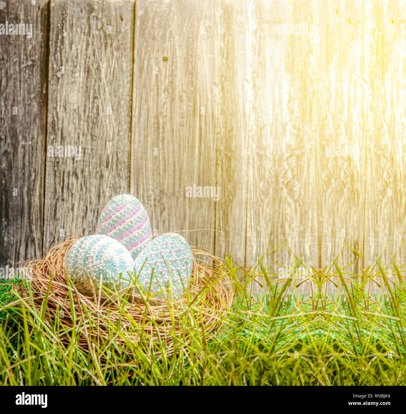 Colorful easter eggs in the nest on the green grass with sunlight and ...