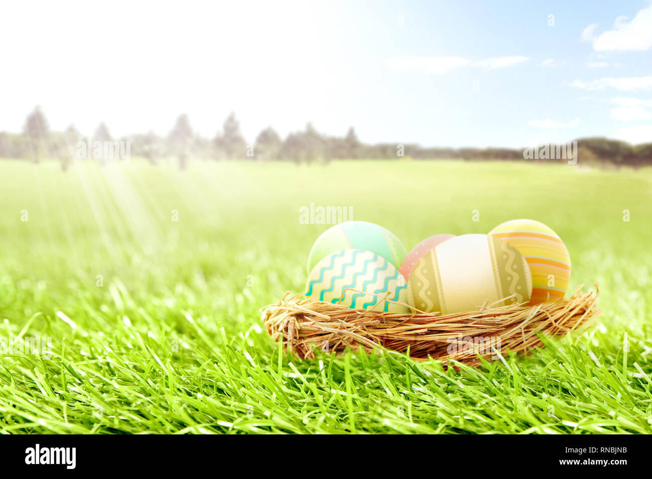 Colorful easter eggs in the nest on the grass field with trees and blue sky background. Happy Easter Stock Photo